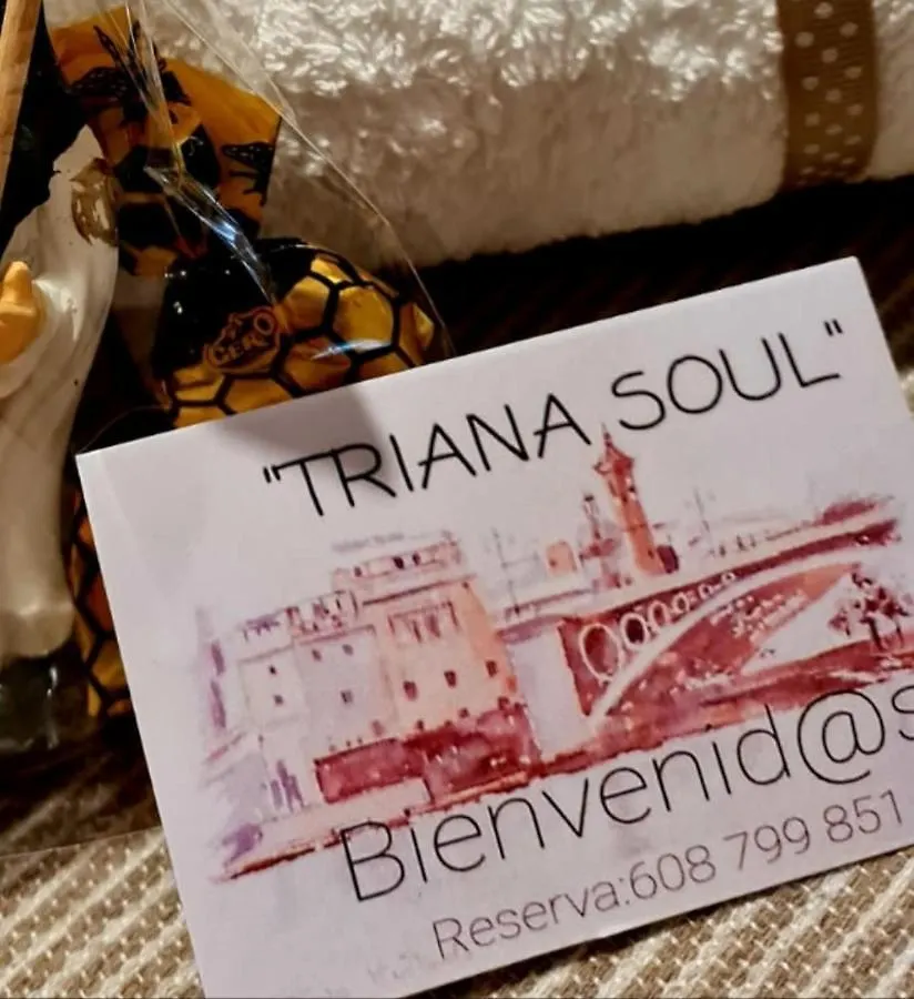 세비야 Triana Soul Marcur 아파트 0*,  스페인